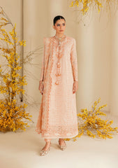 Aik Atelier Unstitched 3 Piece Lawn Summer Suit-B2604B