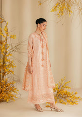 Aik Atelier Unstitched 3 Piece Lawn Summer Suit-B2604B