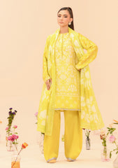 Miss Aik By Aik Atelier Stitched 3 Piece Summer Silk Suit-D1-LOOK 10