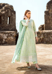 aik-atelier-pardes-lawn-24-look-02-3