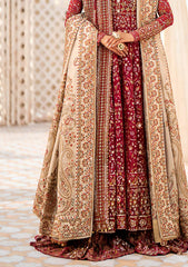 Aik Atelier Wedding Festive Shawl Vol-01-GOLD TISSUE SHAWL