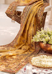 Aik Atelier Wedding Festive Shawl Vol-02-INDIAN GOLD TISSUE SHAWL