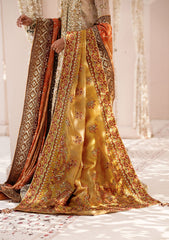 Aik Atelier Wedding Festive Shawl Vol-02-INDIAN GOLD TISSUE SHAWL
