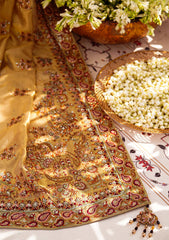 Aik Atelier Wedding Festive Shawl Vol-02-INDIAN GOLD TISSUE SHAWL