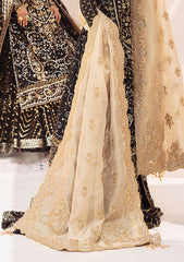 Aik Atelier Wedding Festive Shawl Vol-02-LIGHT GOLD TISSUE SHAWL
