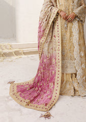 Aik Atelier Wedding Festive Shawl Vol-02 Suit-LIGHT GOLD