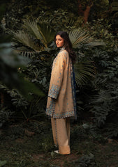 Aik Roz By Aik Atelier Stitched 3 Piece Karandi Suit-LOOK 02