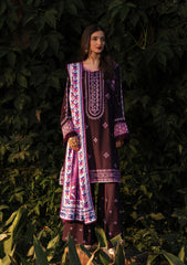 Aik Roz By Aik Atelier Stitched 3 Piece Karandi Suit-LOOK 04