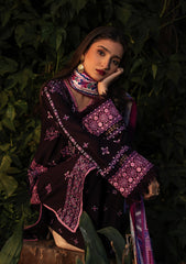 Aik Roz By Aik Atelier Stitched 3 Piece Karandi Suit-LOOK 04
