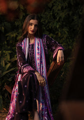 Aik Roz By Aik Atelier Stitched 3 Piece Karandi Suit-LOOK 04