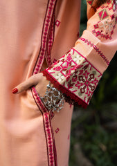 Aik Roz By Aik Atelier Stitched 3 Piece Karandi Suit-LOOK 07