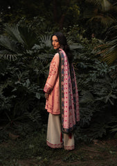 Aik Roz By Aik Atelier Stitched 3 Piece Karandi Suit-LOOK 07