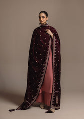 Aik Roz By Aik Atelier Stitched 3 Piece Karandi Suit-LOOK 03