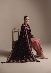 Aik Roz By Aik Atelier Stitched 3 Piece Karandi Suit-LOOK 03
