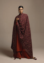 Aik Roz By Aik Atelier Stitched 3 Piece Karandi Suit-LOOK 04