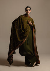 Aik Roz By Aik Atelier Stitched 3 Piece Karandi Suit-LOOK 05