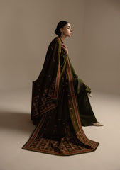 Aik Roz By Aik Atelier Stitched 3 Piece Karandi Suit-LOOK 05