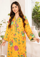 Meerak Stitched 2 Piece Summer Collection'2026-GF-04