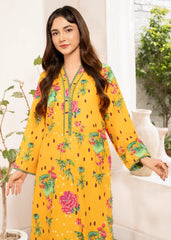 Meerak Stitched 2 Piece Summer Collection'2026-GF-04