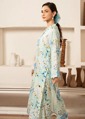 Meerak Stitched 2 Piece Summer Collection'2026-GF-16