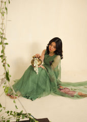 Chamak Dhamak By Pashma Khan Eid Collection'2025-Fareeha