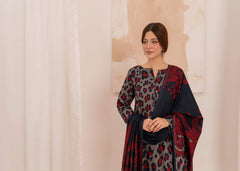 Feathers Unstitched Winter Arrivals Suit-LUNARE-FT591