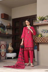 Dressline 3 Piece Fancy Emb Chikankari Net Collection