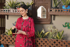 Dressline 3 Piece Fancy Emb Chikankari Net Collection