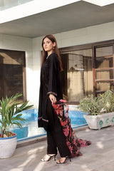 Dressline 3 Piece Fancy Emb Chikankari Net Collection