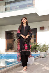 Dressline 3 Piece Fancy Emb Chikankari Net Collection