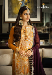 Asim Jofa Rang e Noor Ajrn-09 Embroidered Cotton Silk 3 Pcs