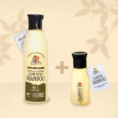 Organic Roots Reetha & Aloevera Shampoo | Extra Mild 300Ml