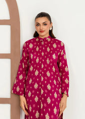 Meerak Stitched 2 Piece Summer Collection'2026-DSL-10