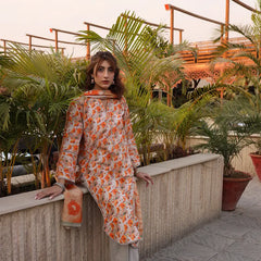 Heeriye 3 Piece Stitched Printed Lawn Suit - H306
