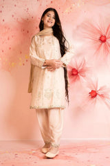 Shop latest embroidery dresses for girls in Pakistan. Discover stitched Pakistani suits with elegant embroidery, perfect for festive