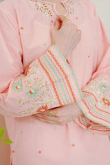 Waniya Stitched 2 Piece Lawn Collection'2025-AMIRA
