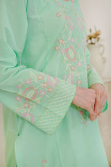 Waniya Stitched 2 Piece Lawn Collection'2025-AYRA
