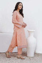 Waniya Stitched 2 Piece Solid Emb Lawn Collection'2025-RAY