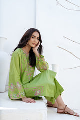 Waniya Stitched 2 Piece Solid Emb Lawn Collection'2025-SERA