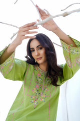 Waniya Stitched 2 Piece Solid Emb Lawn Collection'2025-SERA