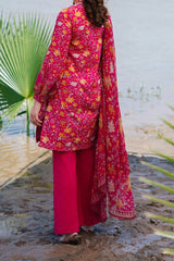 M Basics By Maria B Unstitched 3 Piece Emb Lawn Eid 2 Collection'2024-D-09-A